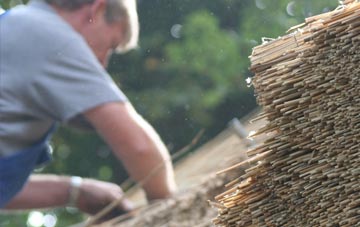 professional Rakes Dale thatchers